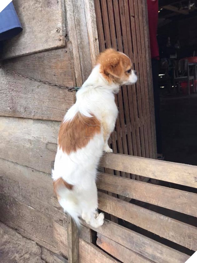 Khi boss có độ hóng hớt cực cao mà lại được sen hỗ trợ nhiệt tình thì còn gì bằng 4