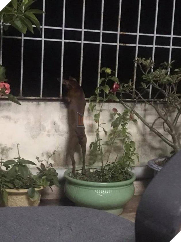 Khi boss có độ hóng hớt cực cao mà lại được sen hỗ trợ nhiệt tình thì còn gì bằng 5