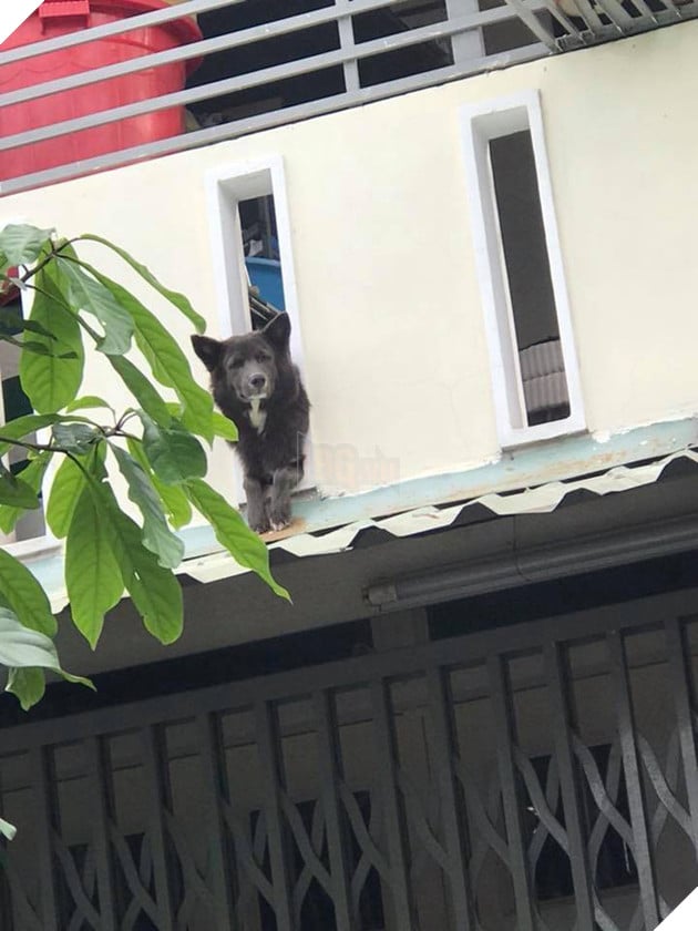 Khi boss có độ hóng hớt cực cao mà lại được sen hỗ trợ nhiệt tình thì còn gì bằng 6