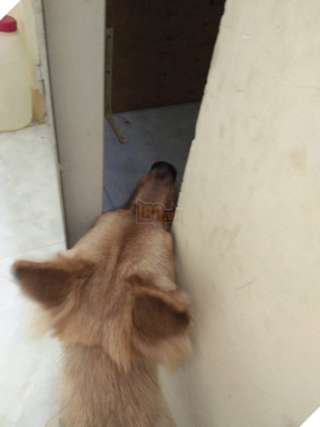 Khi boss có độ hóng hớt cực cao mà lại được sen hỗ trợ nhiệt tình thì còn gì bằng 7