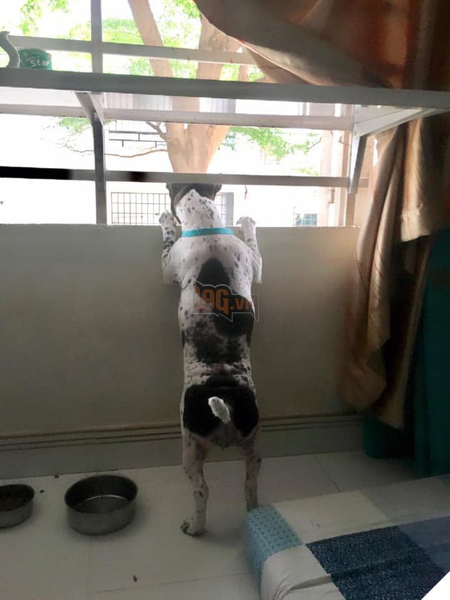 Khi boss có độ hóng hớt cực cao mà lại được sen hỗ trợ nhiệt tình thì còn gì bằng 9