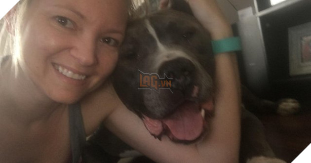 Bị chủ bỏ rơi, chú chó tội nghiệp bỏ ăn, không ngừng tìm kiếm chủ cũ rồi lặng lẽ khóc - Ảnh 4.