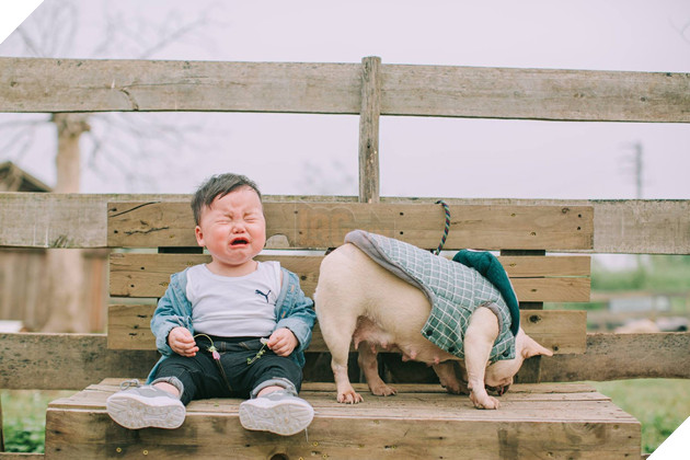 Cậu nhóc khóc ré ăn vạ khi phải chụp ảnh bên bạn chó: Dễ thương quá mức quy định rồi nhé! - Ảnh 2.