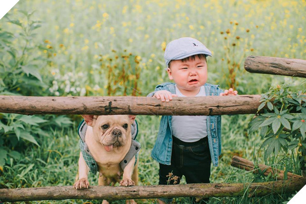 Cậu nhóc khóc ré ăn vạ khi phải chụp ảnh bên bạn chó: Dễ thương quá mức quy định rồi nhé! - Ảnh 6.