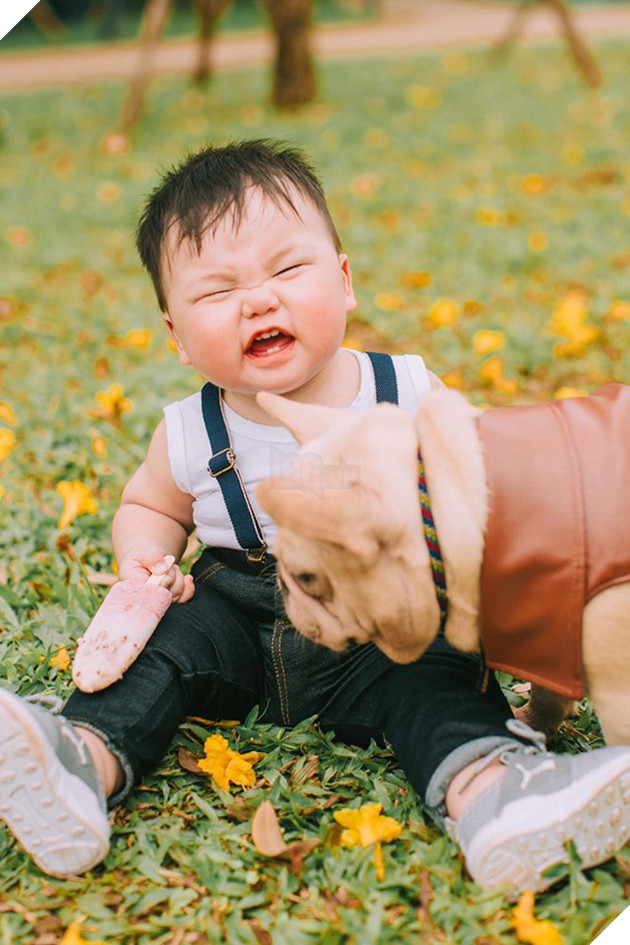 Cậu nh&#243;c kh&#243;c r&#233; &quot;ăn vạ&quot; khi phải chụp ảnh b&#234;n bạn ch&#243;: Dễ thương qu&#225; mức quy định rồi nh&#233;! - Ảnh 1.