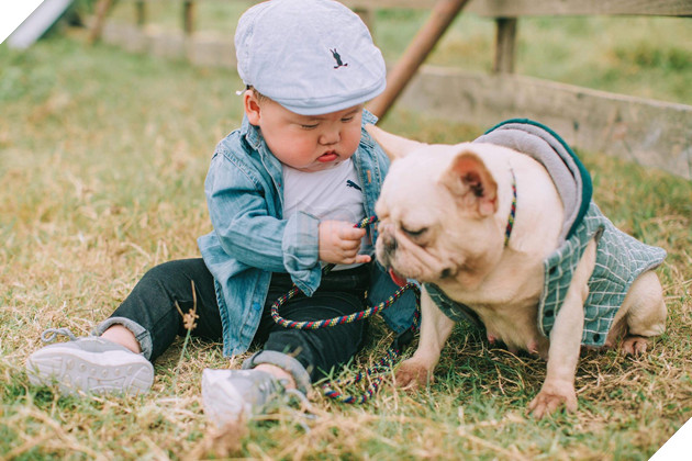 Cậu nhóc khóc ré ăn vạ khi phải chụp ảnh bên bạn chó: Dễ thương quá mức quy định rồi nhé! - Ảnh 9.