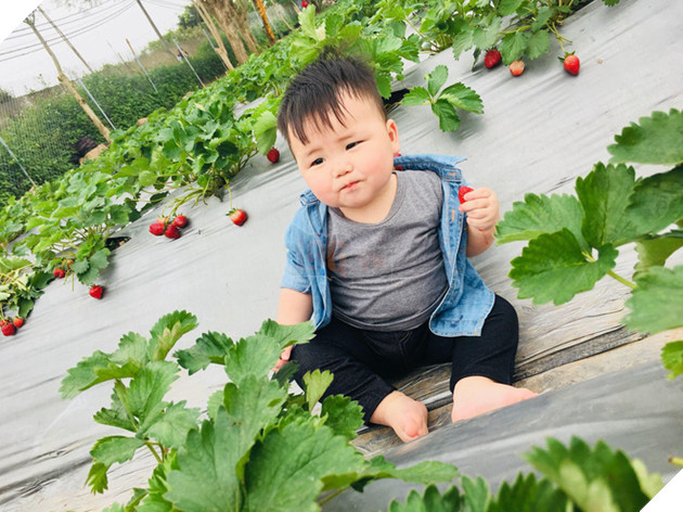 Cậu nh&#243;c kh&#243;c r&#233; &quot;ăn vạ&quot; khi phải chụp ảnh b&#234;n bạn ch&#243;: Dễ thương qu&#225; mức quy định rồi nh&#233;! - Ảnh 5.