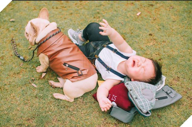 Cậu nh&#243;c kh&#243;c r&#233; &quot;ăn vạ&quot; khi phải chụp ảnh b&#234;n bạn ch&#243;: Dễ thương qu&#225; mức quy định rồi nh&#233;! - Ảnh 10.