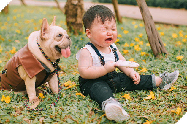 Cậu nhóc khóc ré ăn vạ khi phải chụp ảnh bên bạn chó: Dễ thương quá mức quy định rồi nhé! - Ảnh 7.