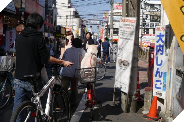 Bước qua nhau, Cô gái trẻ chụp lại chú chó có đôi mắt buồn như vừa mất người yêu 10
