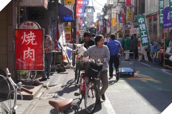 Bước qua nhau, Cô gái trẻ chụp lại chú chó có đôi mắt buồn như vừa mất người yêu