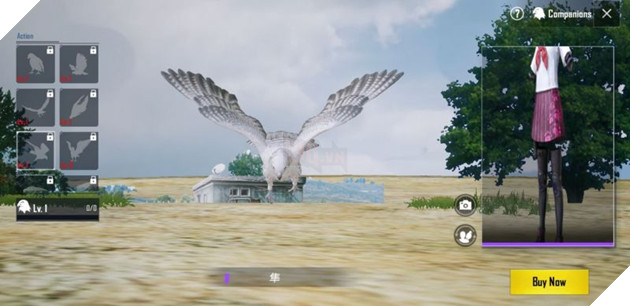 companion in PUBG Mobile