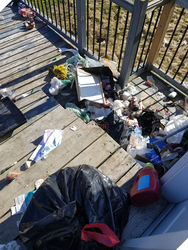 Gấu hối lộ nguyến khúc sườn nai cho chó canh nhà để có thể vào lục rác kiếm ăn 5