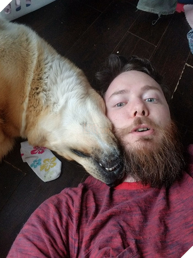 Gấu hối lộ nguyến khúc sườn nai cho chó canh nhà để có thể vào lục rác kiếm ăn 6