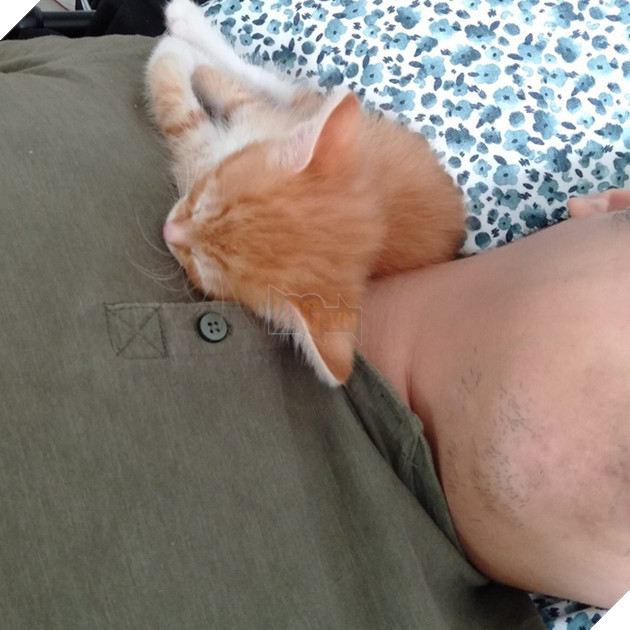 Mới sinh nên đẩy chồng sang phòng khác ngủ, vợ phát hiện kẻ thứ ba khi nửa đêm mở cửa - Ảnh 3.