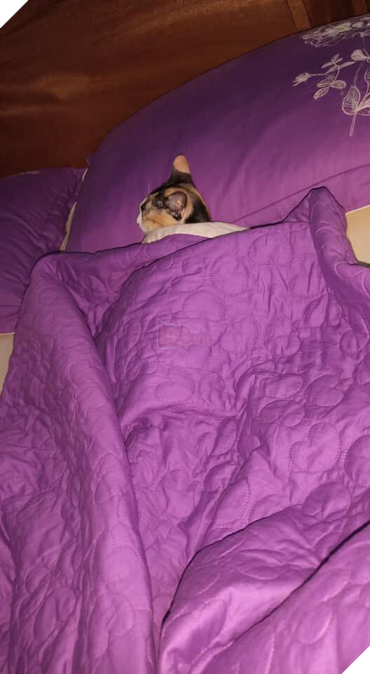 Mới sinh nên đẩy chồng sang phòng khác ngủ, vợ phát hiện kẻ thứ ba khi nửa đêm mở cửa - Ảnh 1.