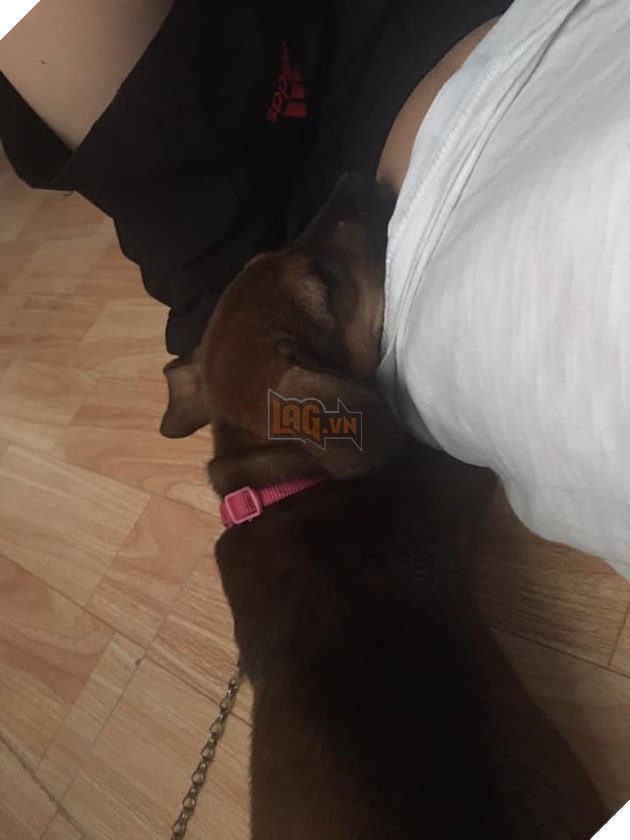 Mới sinh nên đẩy chồng sang phòng khác ngủ, vợ phát hiện kẻ thứ ba khi nửa đêm mở cửa - Ảnh 5.