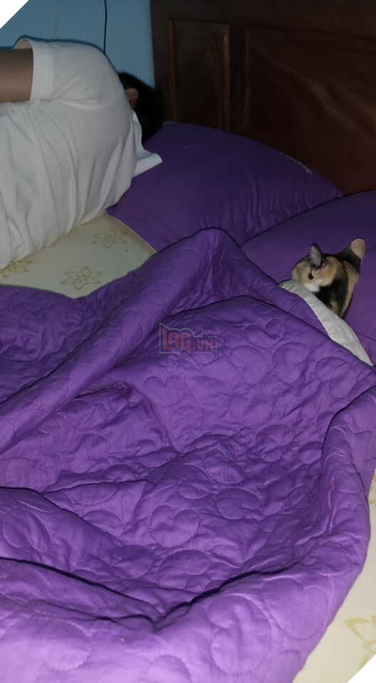 Mới sinh nên đẩy chồng sang phòng khác ngủ, vợ phát hiện kẻ thứ ba khi nửa đêm mở cửa - Ảnh 2.