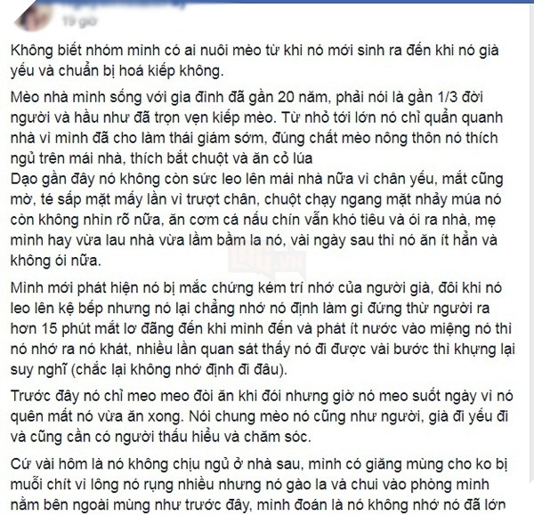  
Đôi dòng tâm sự đầy nỗi buồn của cô nàng Maiasa Ly