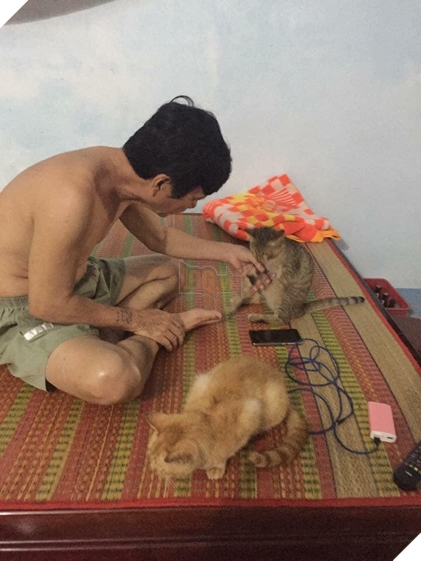 Chú mèo 20 năm tuổi nhìn chuột chạy mà bất lực vì tuổi già sức yếu khiến CĐM vừa cười vừa thương 2