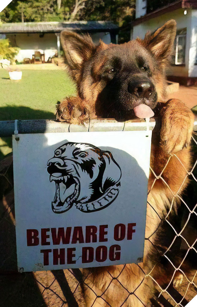 Beware Of The Dog
