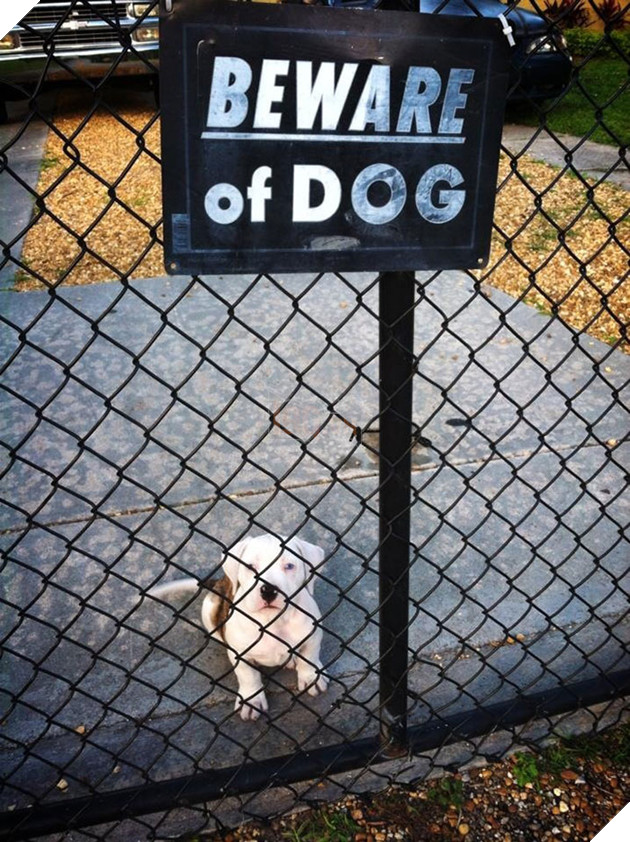 Beware Of This Cutie