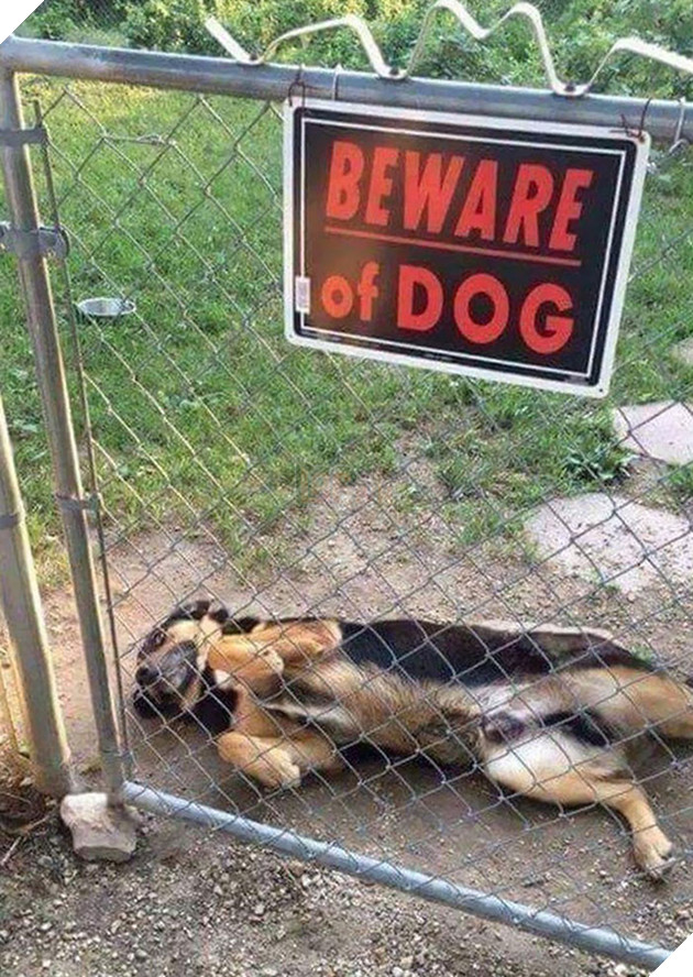 Not Entirely Sure What I Need To Beware Of Exactly?