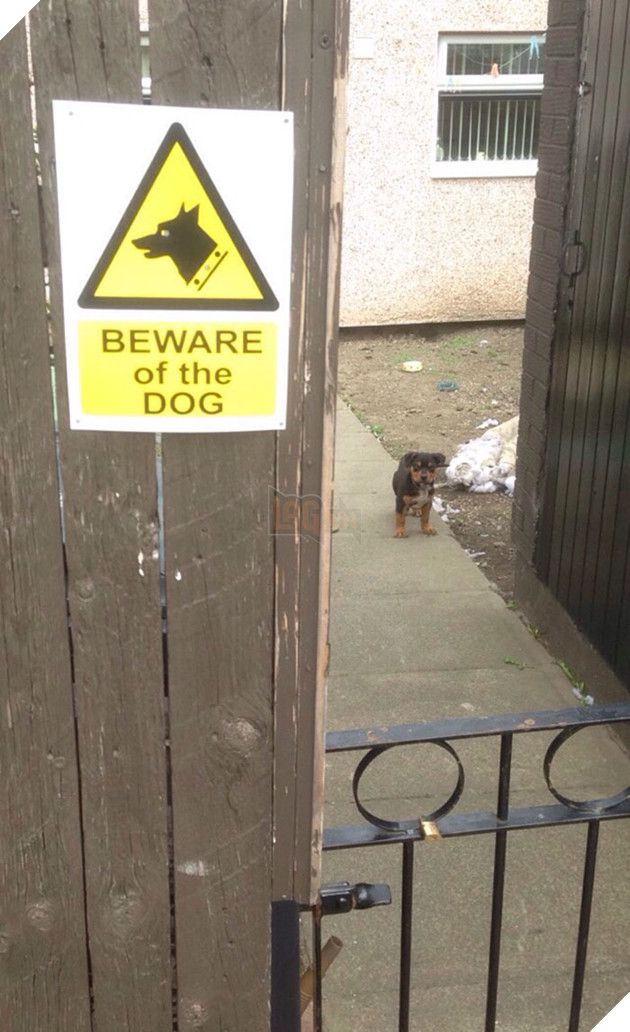 He Was A Feisty One! Undid My Shoelaces A Few Times