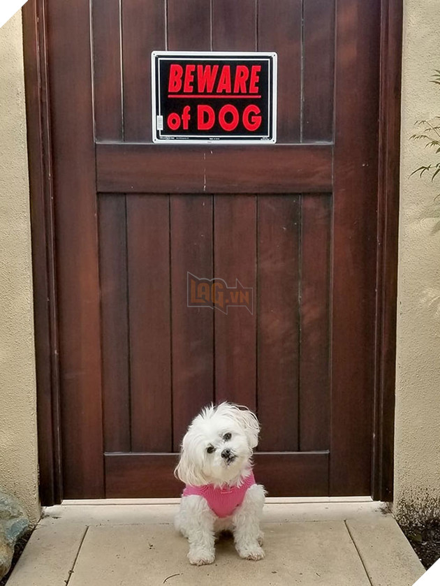 Mom Put This Sign On Our Gate, Dad Said It's False Advertising. Look At Me, Would I Not Put Fear In The Heart Of Anyone Who Tried To Enter?