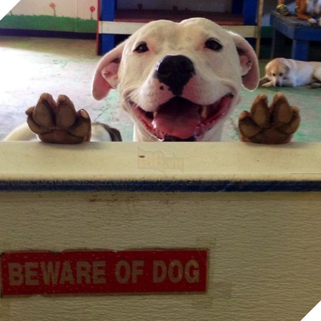 The Ferocious Lucy!!