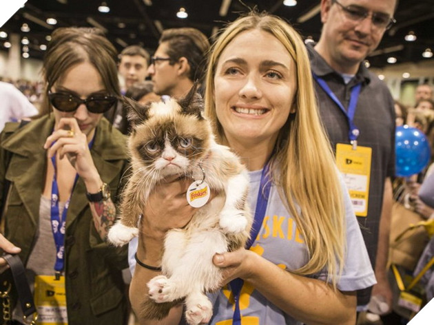 Fan toàn thế giới chia buồn trước tin Grumpy Cat đã qua đời khi tròn 7 tuổi 3