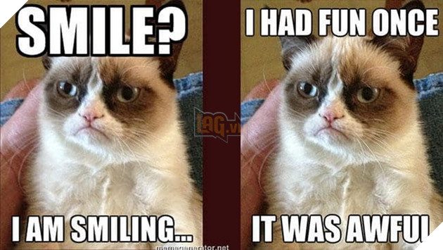 Fan toàn thế giới chia buồn trước tin Grumpy Cat đã qua đời khi tròn 7 tuổi 4