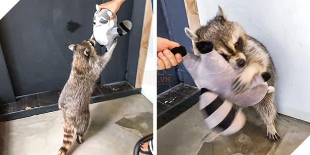 Tham khảo ngay cách nuôi dạy boss của các con sen thông thái trên reddit - Ảnh 1.