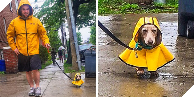 Tham khảo ngay cách nuôi dạy boss của các con sen thông thái trên reddit - Ảnh 2.