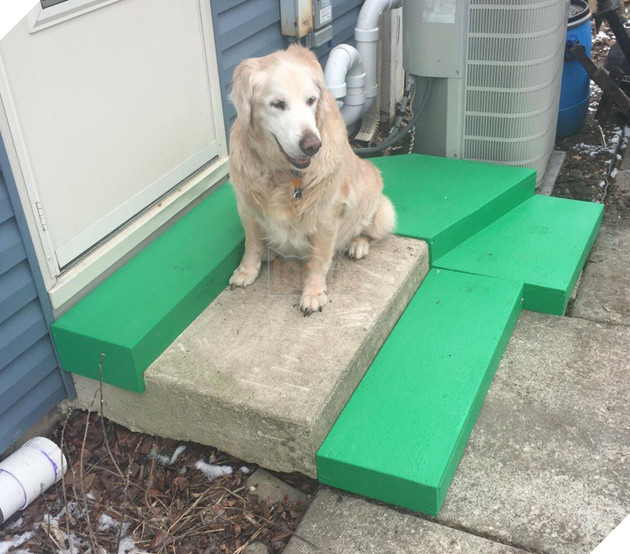 Tham khảo ngay cách nuôi dạy boss của các con sen thông thái trên reddit - Ảnh 5.