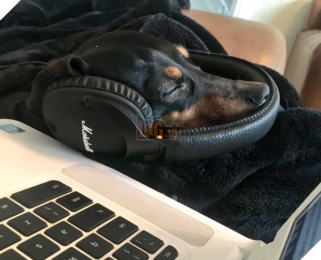 Tham khảo ngay cách nuôi dạy boss của các con sen thông thái trên reddit - Ảnh 7.