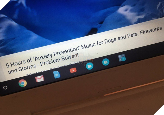Tham khảo ngay cách nuôi dạy boss của các con sen thông thái trên reddit - Ảnh 6.