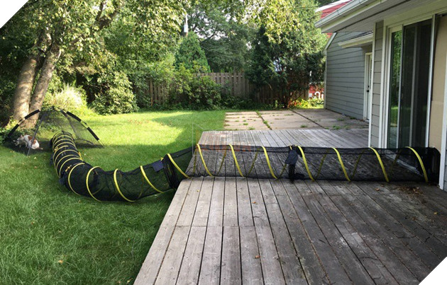 Tham khảo ngay cách nuôi dạy boss của các con sen thông thái trên reddit - Ảnh 8.