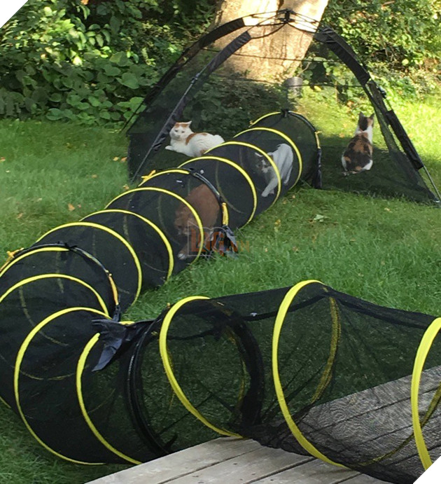 Tham khảo ngay cách nuôi dạy boss của các con sen thông thái trên reddit - Ảnh 9.