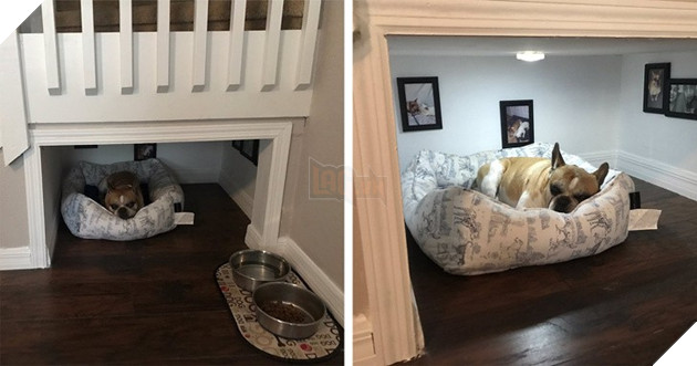 Tham khảo ngay cách nuôi dạy boss của các con sen thông thái trên reddit - Ảnh 10.