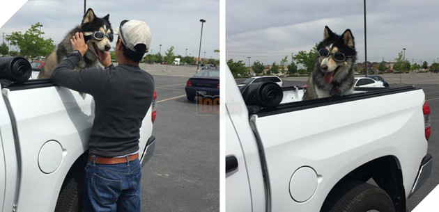 Tham khảo ngay cách nuôi dạy boss của các con sen thông thái trên reddit - Ảnh 12.