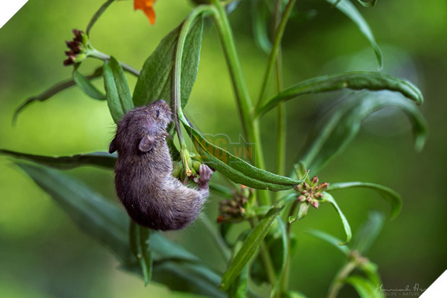 That Is More Comfortable Than It Looks