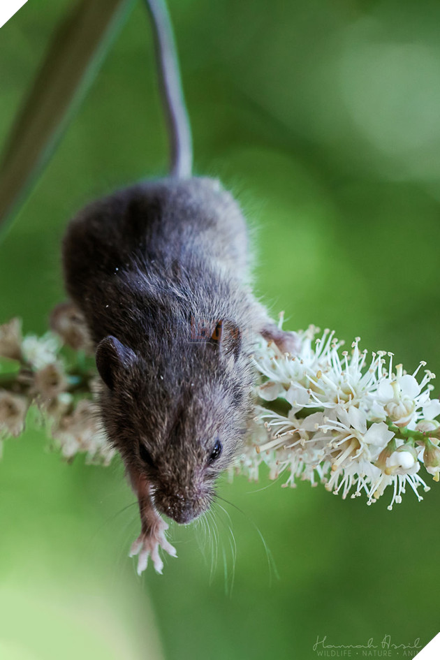 The Ground Is So Far Away!