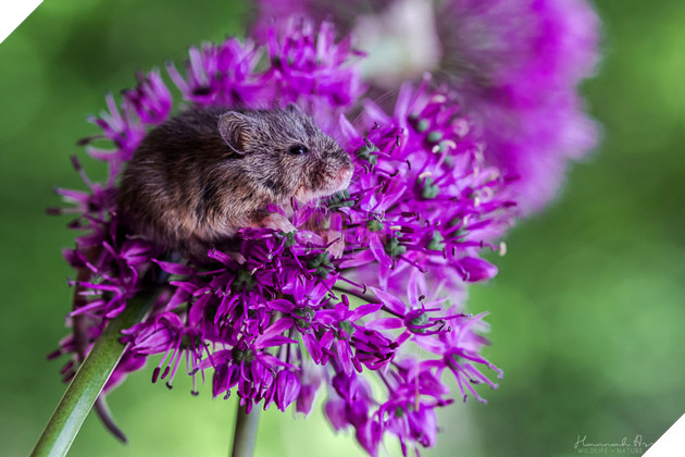 Tired After The Shoot