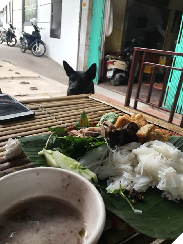 Best “Ăn xin” đẳng cấp của năm: Ở nhà lầu xe hơi vẫn lừa được thanh niên mua cho 20k thịt vịt 8