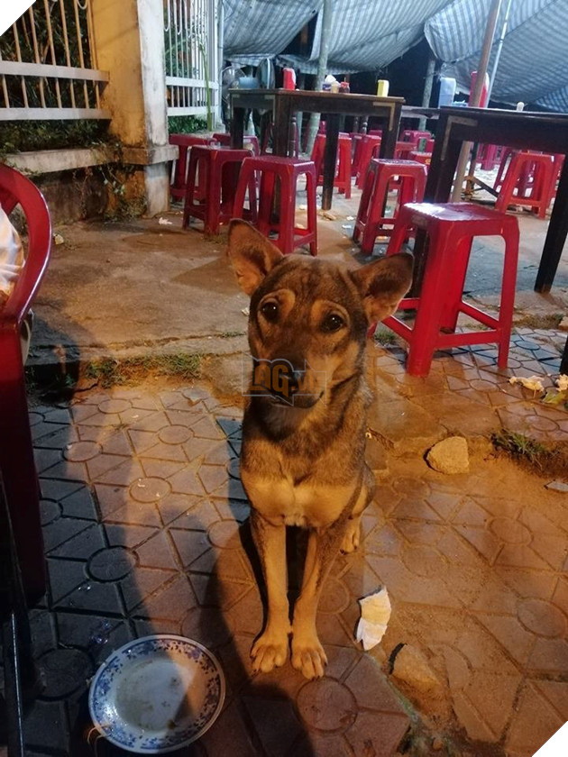 Best “Ăn xin” đẳng cấp của năm: Ở nhà lầu xe hơi vẫn lừa được thanh niên mua cho 20k thịt vịt 9