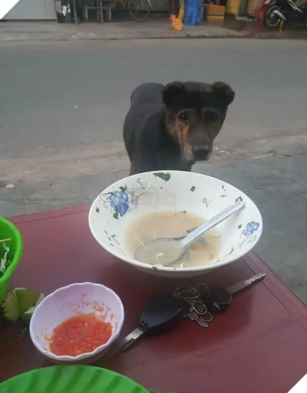 Best “Ăn xin” đẳng cấp của năm: Ở nhà lầu xe hơi vẫn lừa được thanh niên mua cho 20k thịt vịt