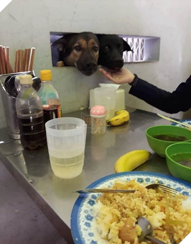 Best “Ăn xin” đẳng cấp của năm: Ở nhà lầu xe hơi vẫn lừa được thanh niên mua cho 20k thịt vịt 2