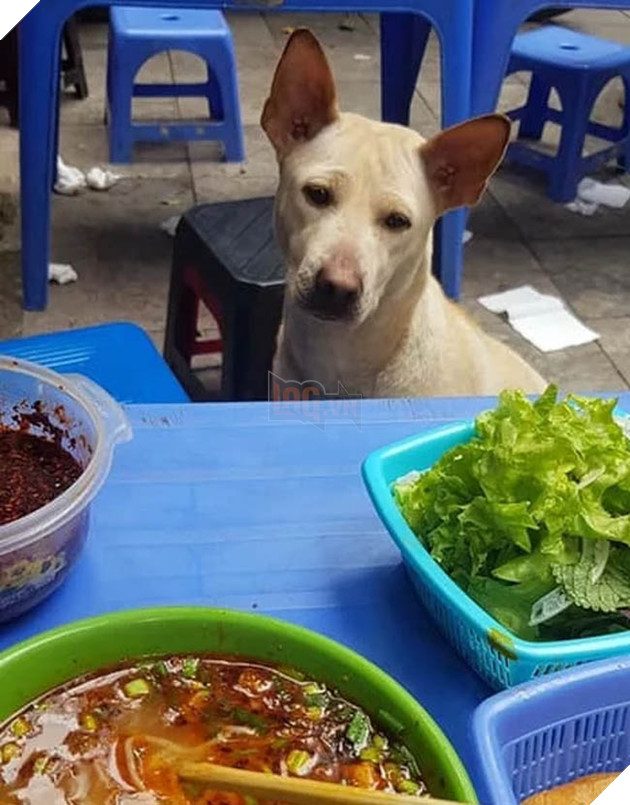 Best “Ăn xin” đẳng cấp của năm: Ở nhà lầu xe hơi vẫn lừa được thanh niên mua cho 20k thịt vịt 3