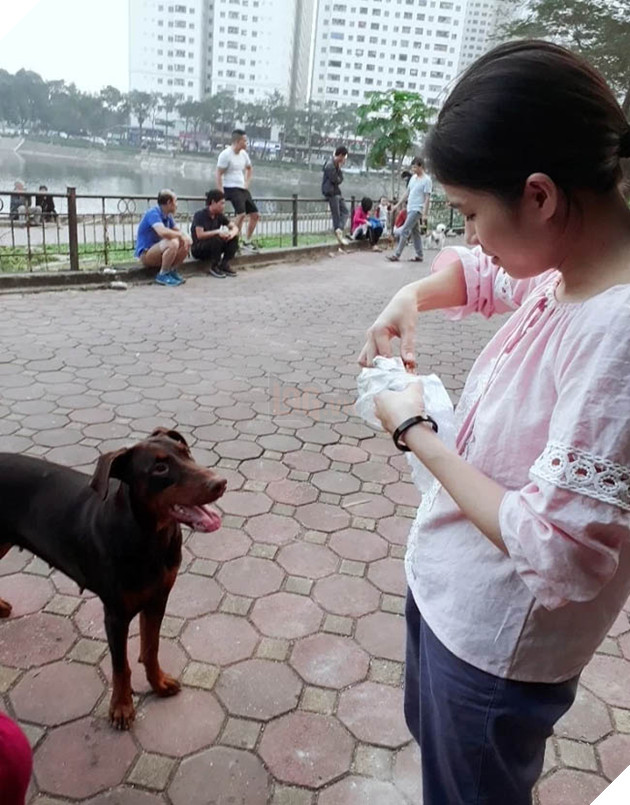 Best “Ăn xin” đẳng cấp của năm: Ở nhà lầu xe hơi vẫn lừa được thanh niên mua cho 20k thịt vịt 7